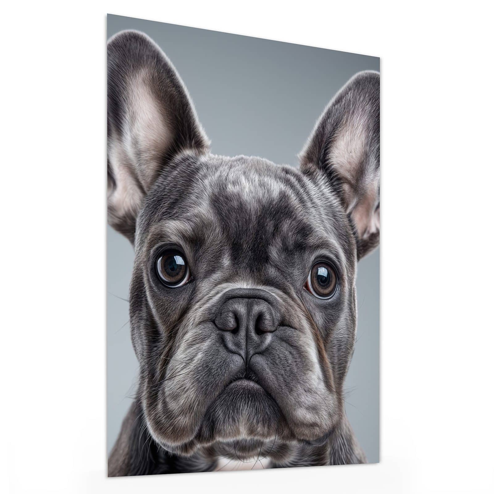 #grösse_30 x 40 cm #grösse_60 x 80 cm #grösse_75 x 100 cm