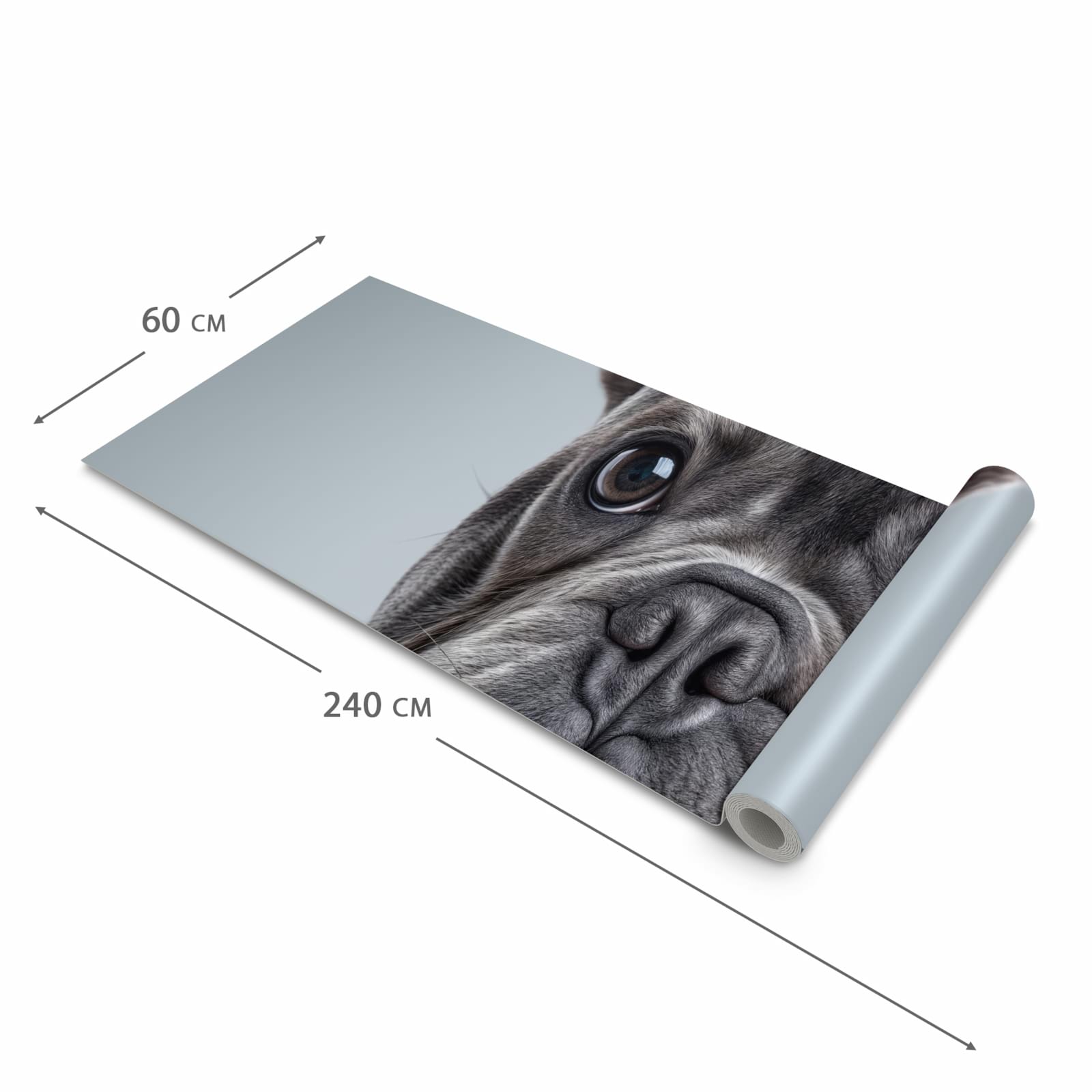 Flacher rutschfester Küchenteppich mit Motiv Französische Bulldogge in der Grösse 90x240 cm