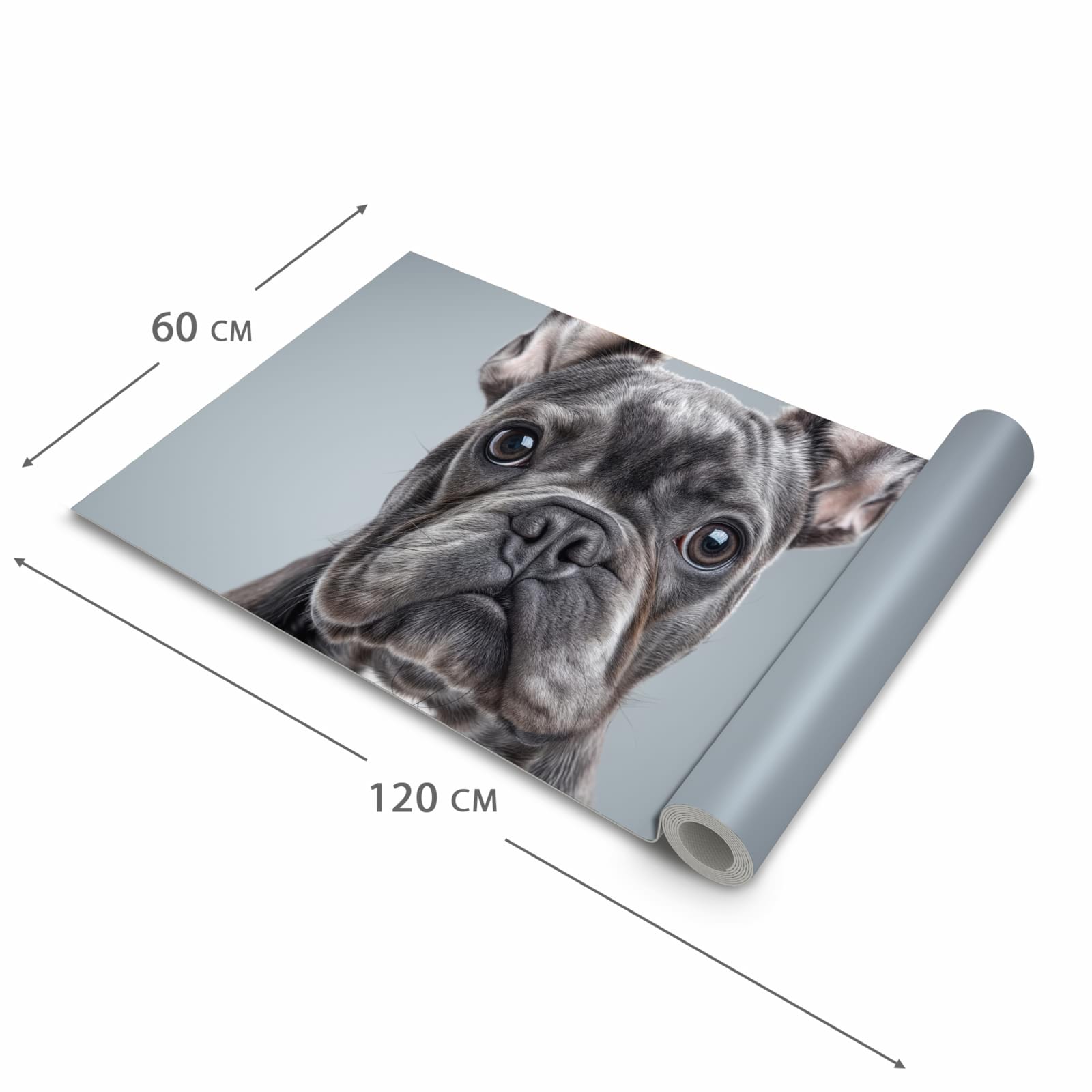 Schmutzabweisender Läufer Eingangsbereich mit Motiv Französische Bulldogge in der Grösse 90x240 cm