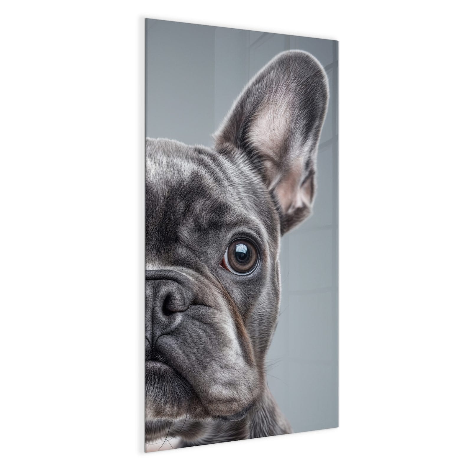 #grösse_50 x 100 cm