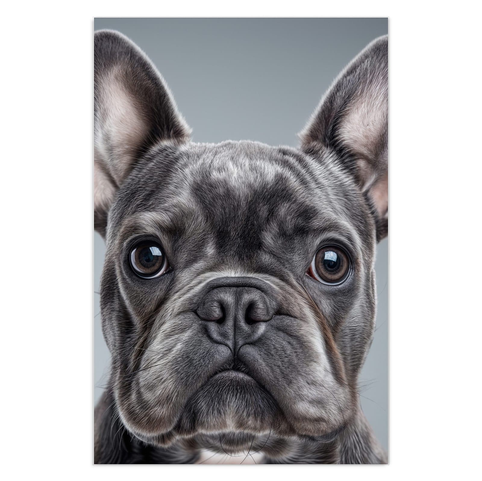 #grösse_40 x 60 cm #grösse_50 x 75 cm #grösse_60 x 90 cm