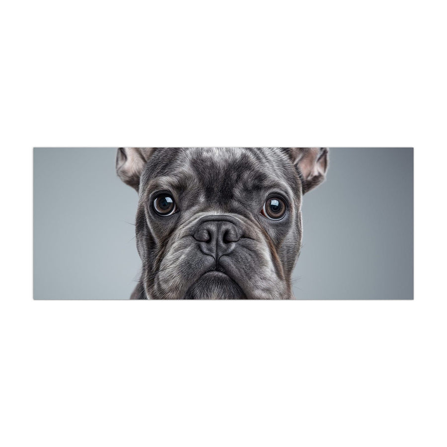 Maße Küchenrückwand Französische Bulldogge aus Glas