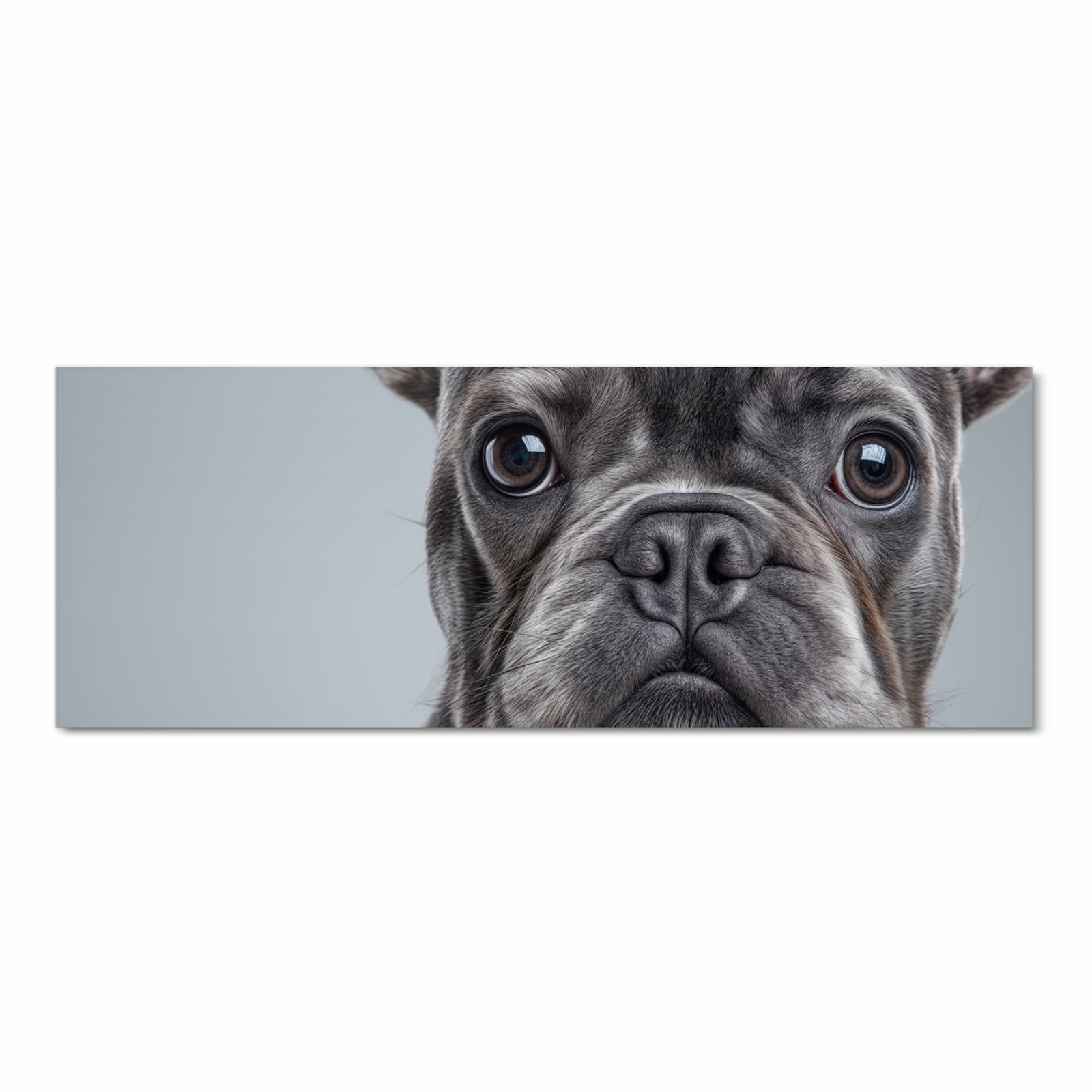 Zeitsparender rutschfester Küchenteppich mit Motiv Französische Bulldogge in Frontansicht