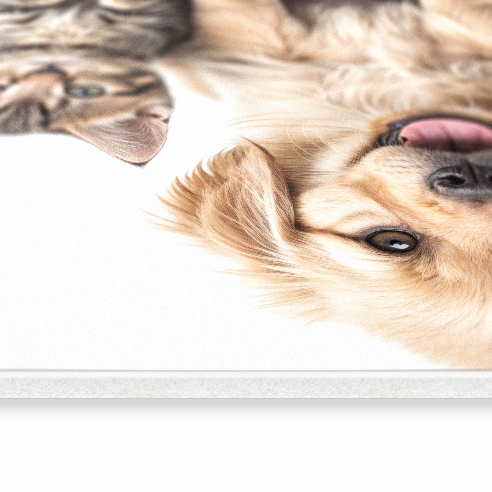 Strapazierfähiger Küchenteppich mit Motiv Katze und Hund in seitlicher Ansicht