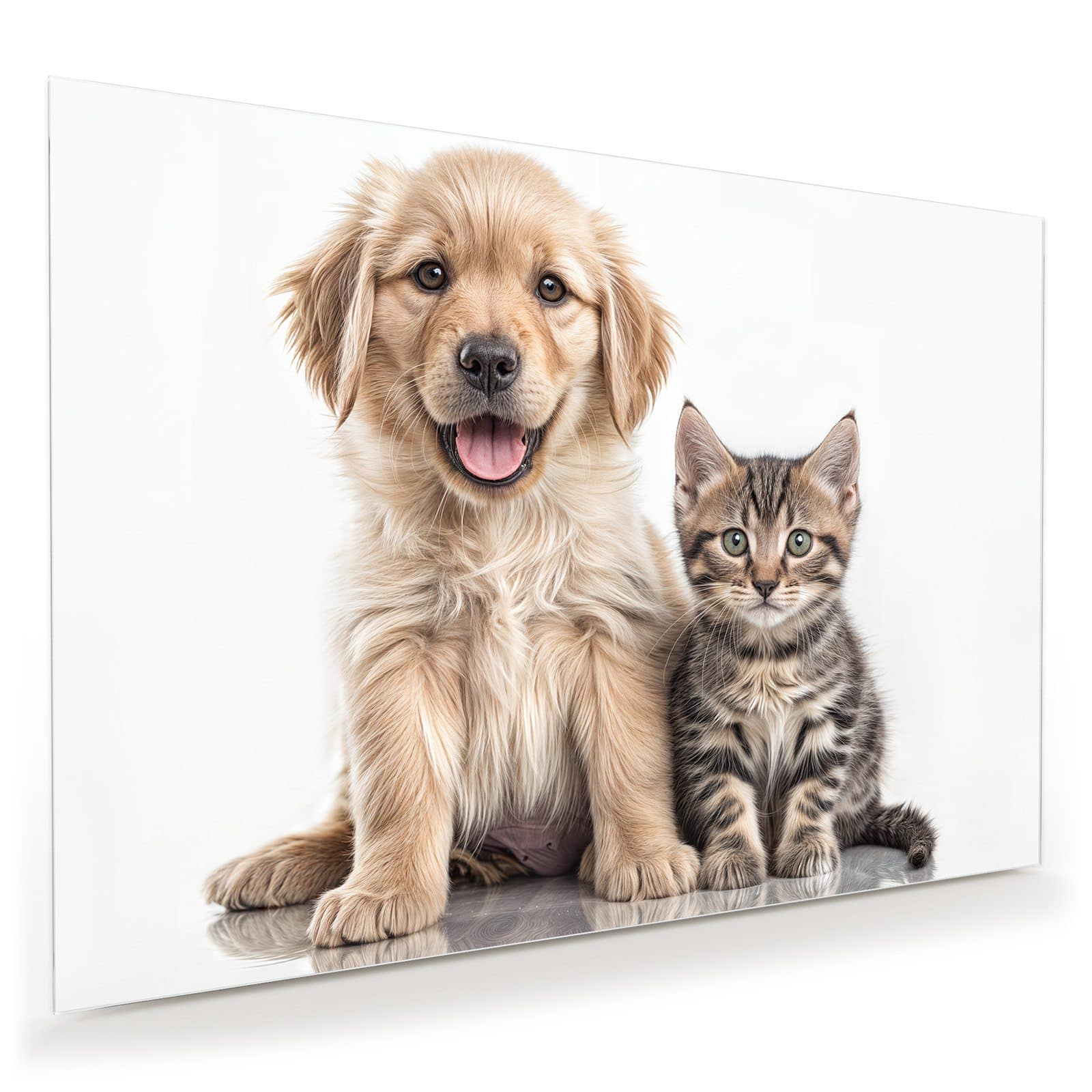 #grösse_100 x 70 cm