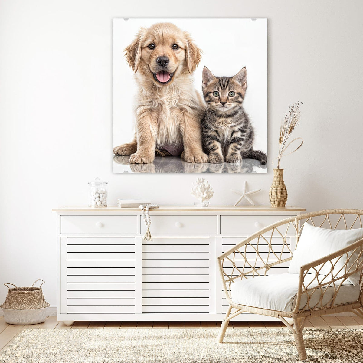 Glasbild Retriever und Kätzchen an der Wand – Golden-Retriever-Welpe sitzt neben einem getigerten Kätzchen auf Weiß