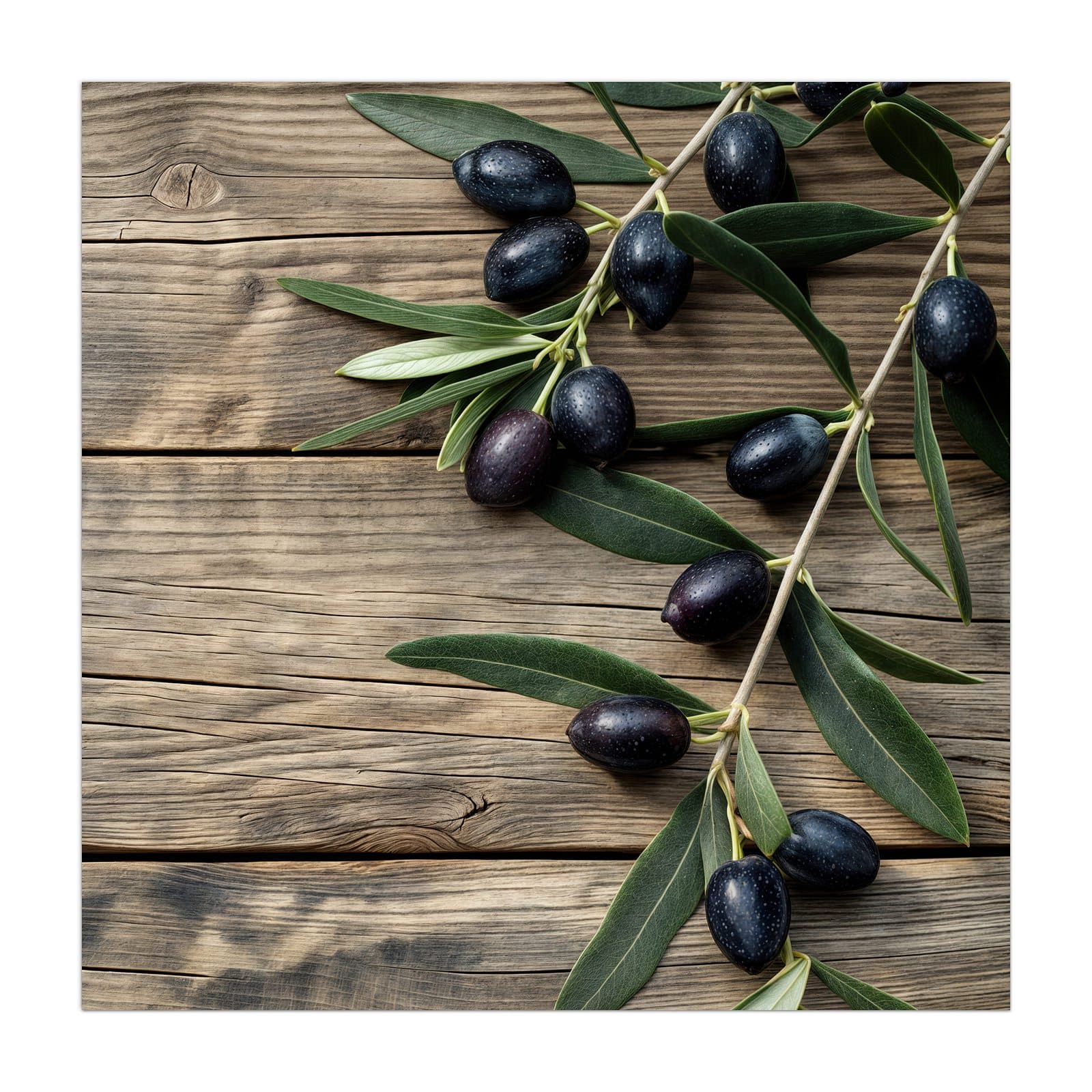 #grösse_40 x 40 cm #grösse_50 x 50 cm #grösse_55 x 55 cm #grösse_60 x 60 cm #grösse_65 x 65 cm #grösse_70 x 70 cm
