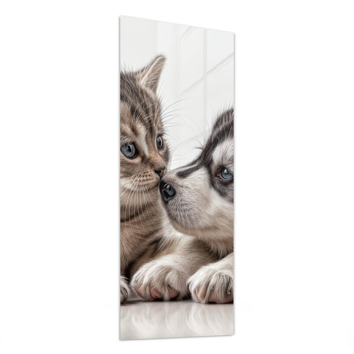 Glasbild Husky und Kätzchen von der Seite, 4 mm Echtglas