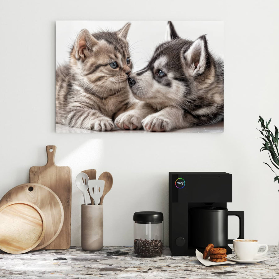 Maße Metall Magnettafel - Husky und Kätzchen