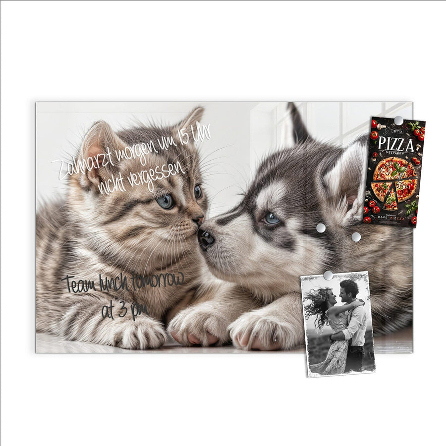 Maße Glas Magnettafel - Husky und Kätzchen
