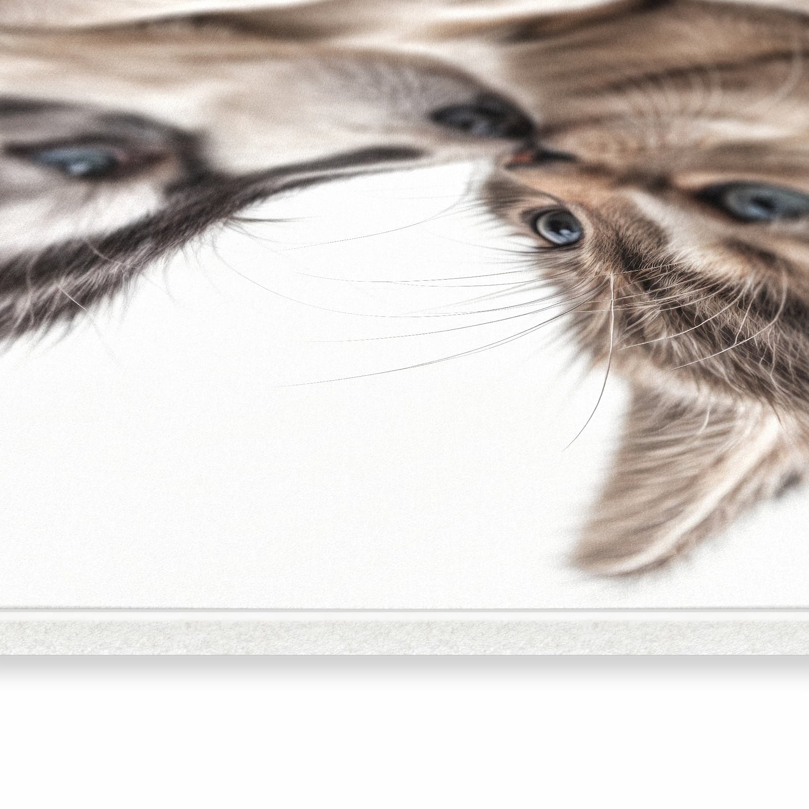 Fleckenresistenter Küchenläufer nach Maß mit Motiv Kätzchen und Welpe in seitlicher Ansicht