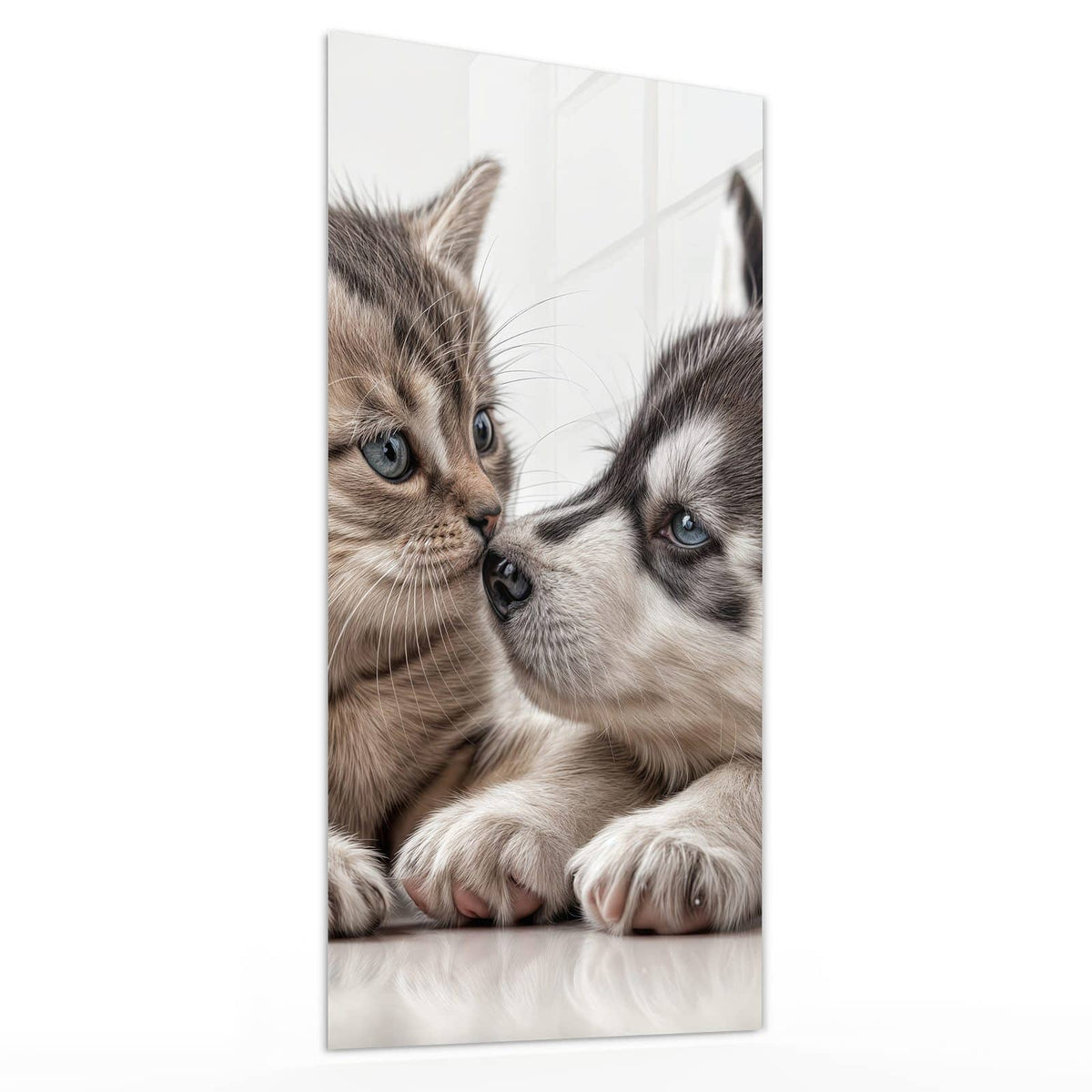 Glasbild Husky und Kätzchen von der Seite, 4 mm Echtglas