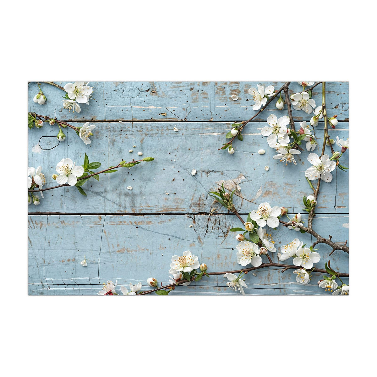 Küchenrückwand aus Glas Blüten auf blauem Holz im Hochformat, Motiv bildfüllend von vorn