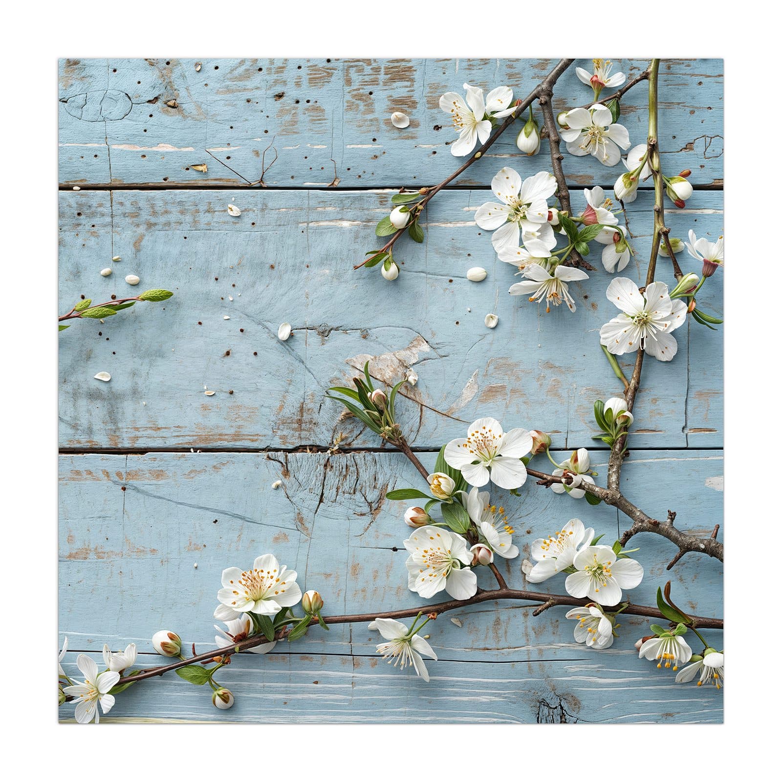 #grösse_40 x 40 cm #grösse_50 x 50 cm #grösse_55 x 55 cm #grösse_60 x 60 cm #grösse_65 x 65 cm #grösse_70 x 70 cm