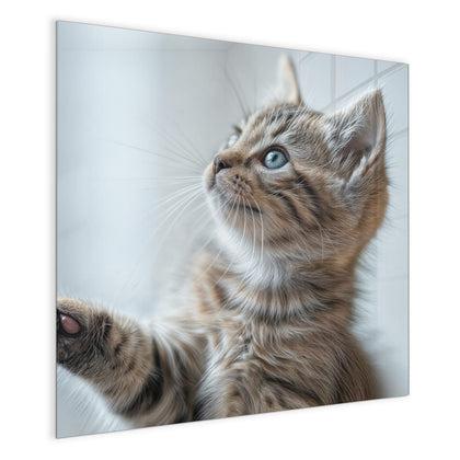 Magnettafel mit dem Motiv Getigertes Kätzchen