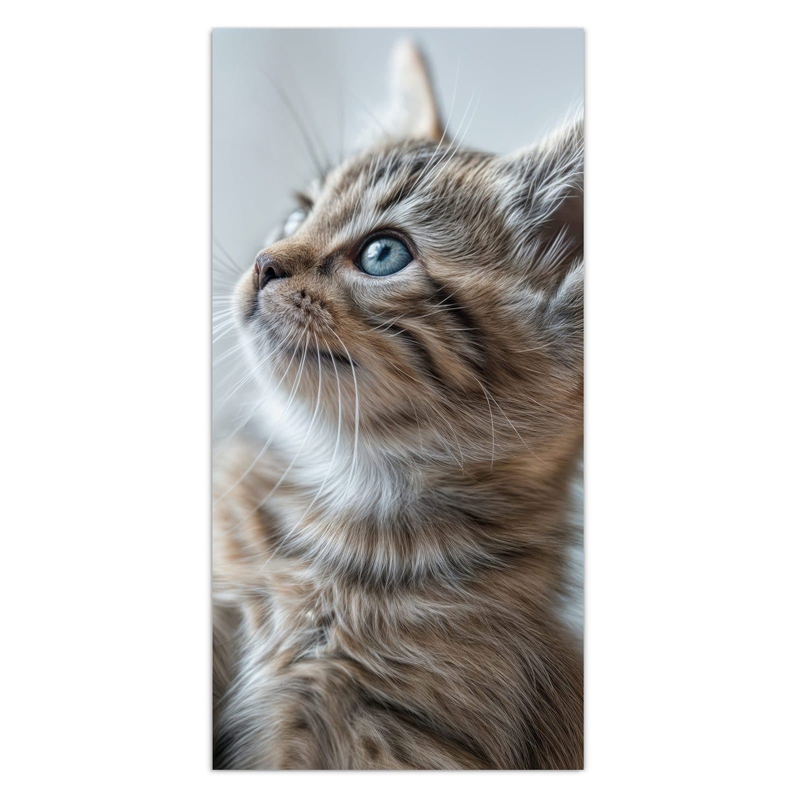 #grösse_30 x 60 cm #grösse_40 x 80 cm #grösse_50 x 100 cm #grösse_55 x 110 cm #grösse_60 x 120 cm