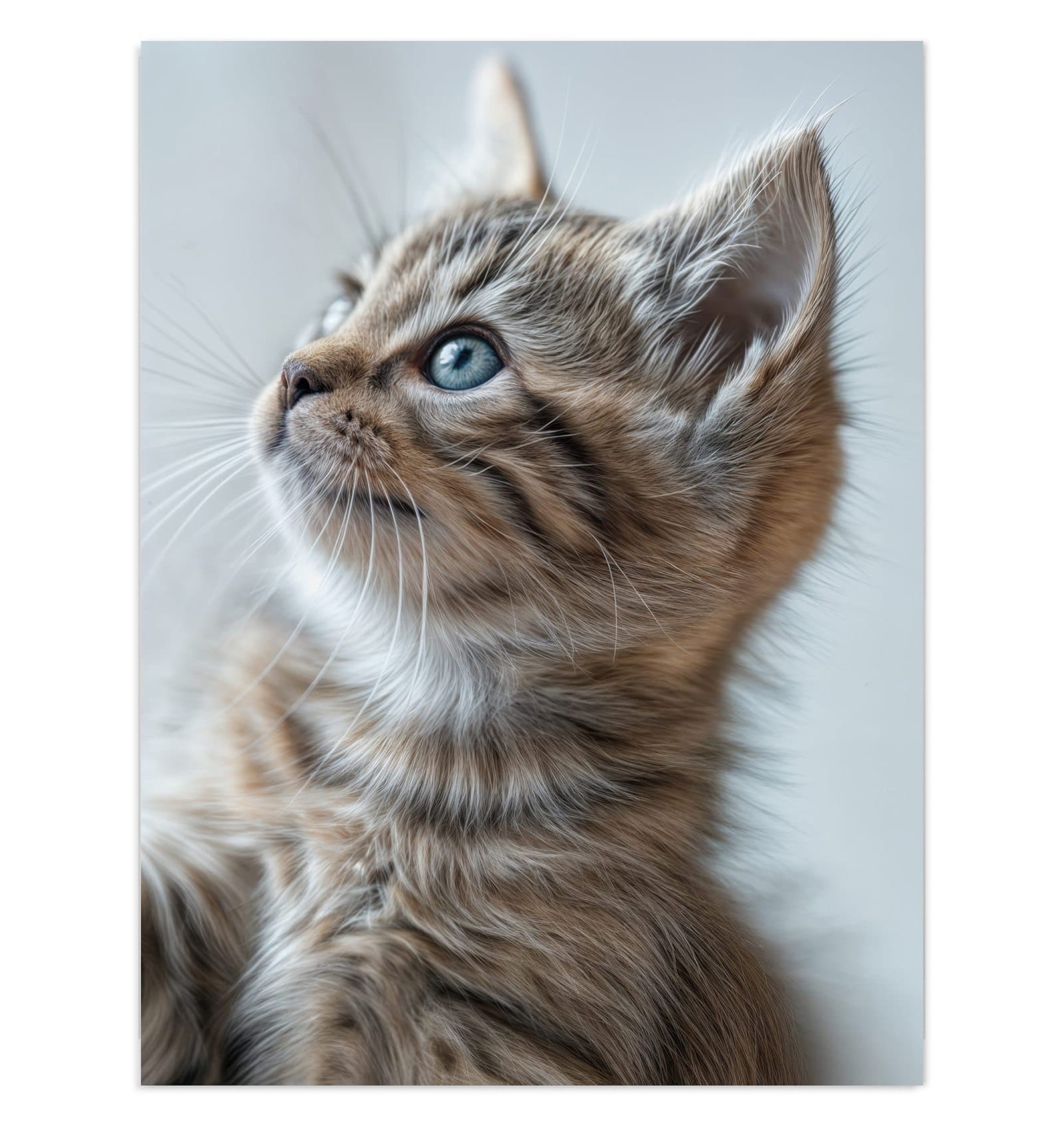 #grösse_30 x 40 cm #grösse_60 x 80 cm #grösse_75 x 100 cm