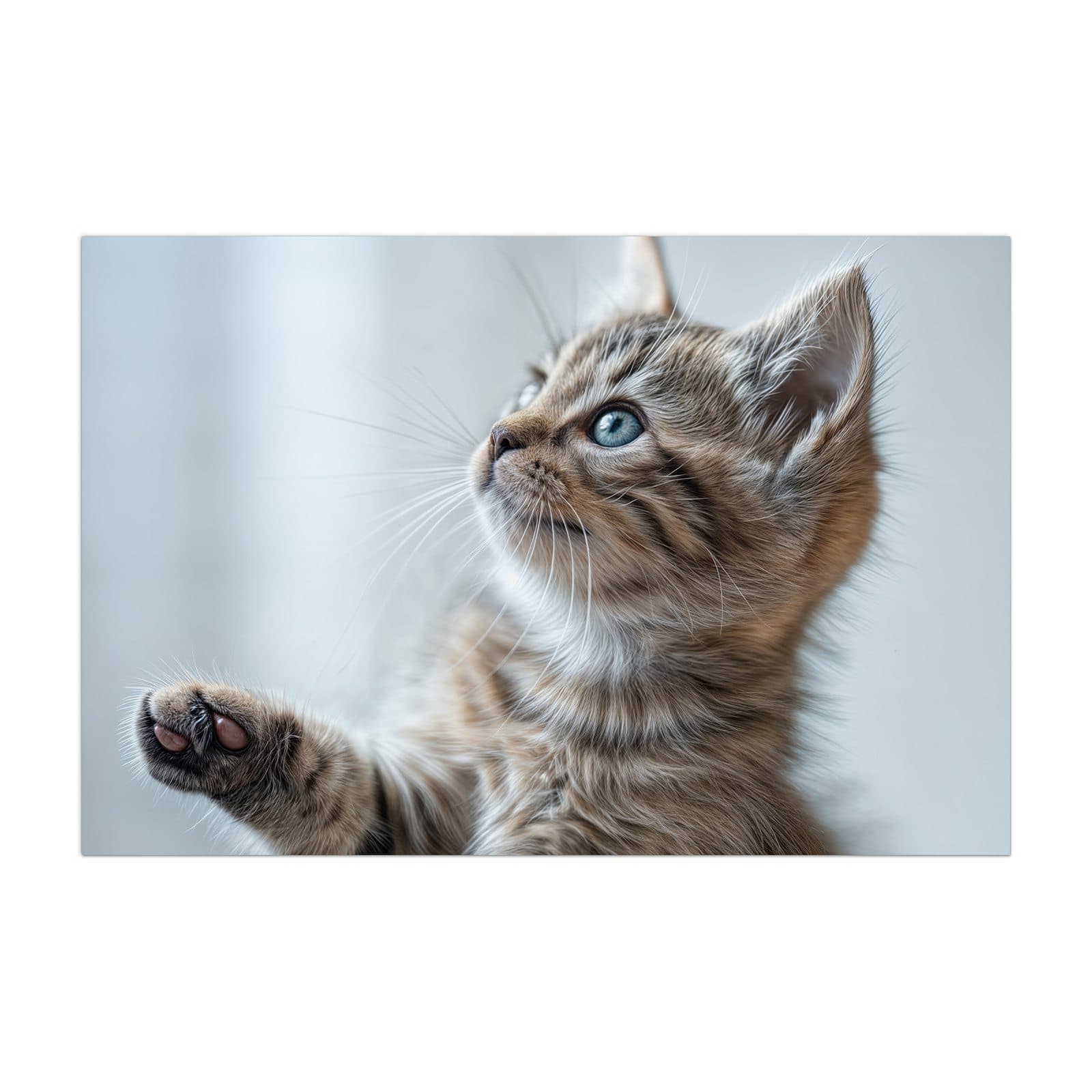 #grösse_40 x 60 cm #grösse_50 x 75 cm #grösse_60 x 90 cm #grösse_80 x 120 cm