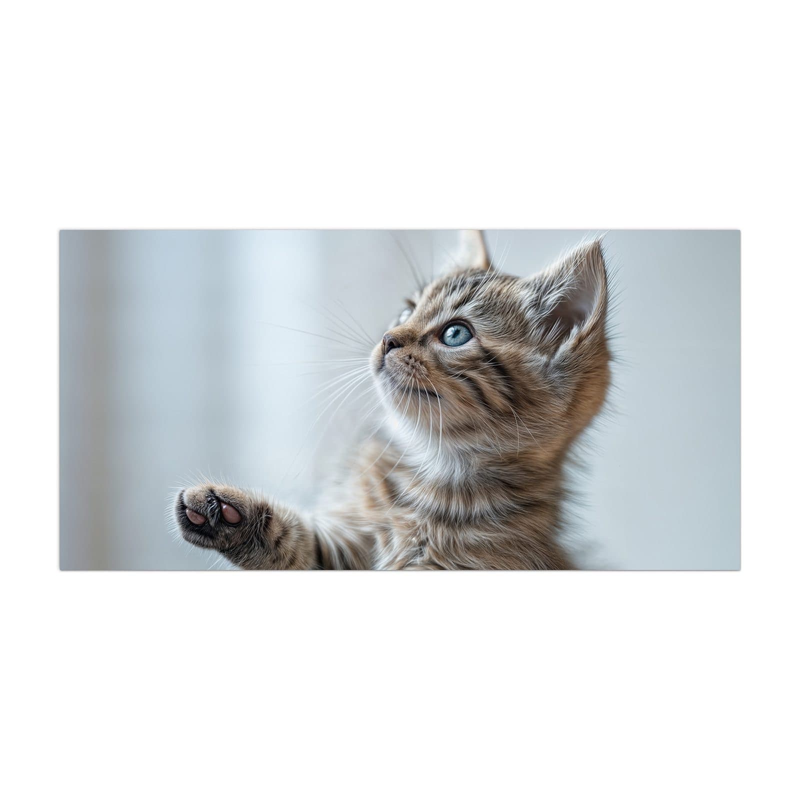 #grösse_40 x 80 cm #grösse_50 x 100 cm #grösse_55 x 110 cm #grösse_60 x 120 cm