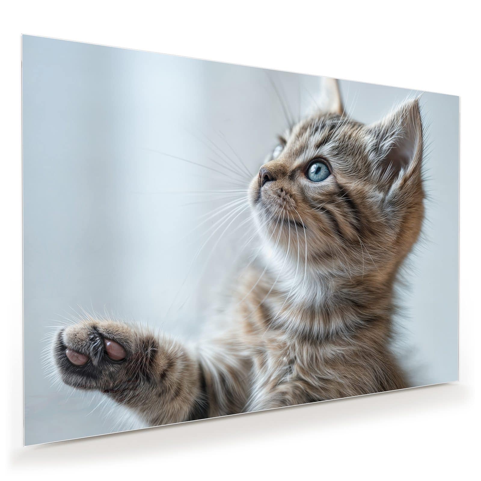 #grösse_100 x 70 cm