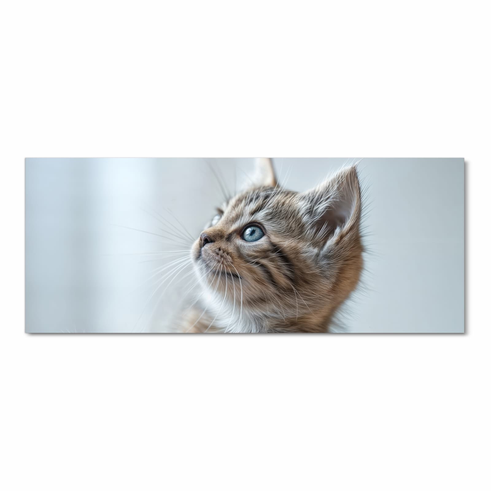 Komfortabler waschbarer Läufer für die Küche mit Motiv Kätzchen22 in Frontansicht