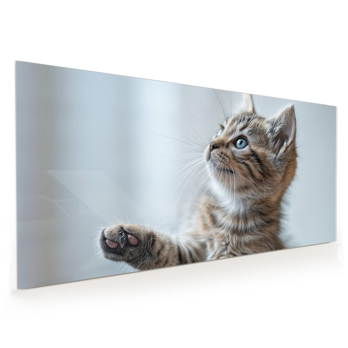 Küchenrückwand aus Glas im Hochformat: Getigertes Kätzchen mit blaugrauen Augen schaut nach oben, eine Pfote angehoben
