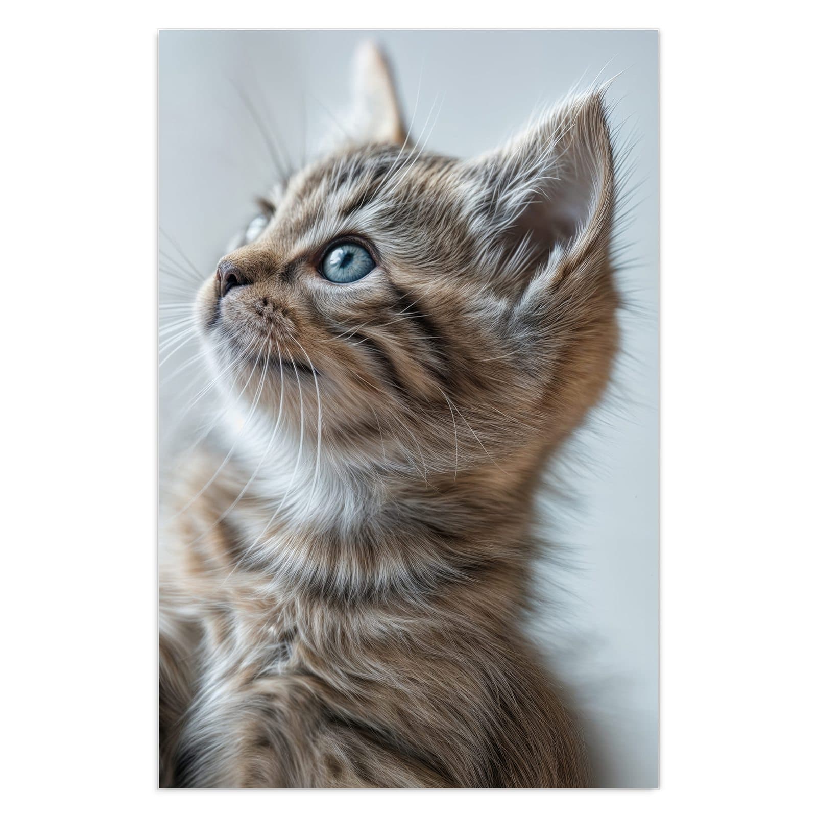 #grösse_40 x 60 cm #grösse_50 x 75 cm #grösse_60 x 90 cm