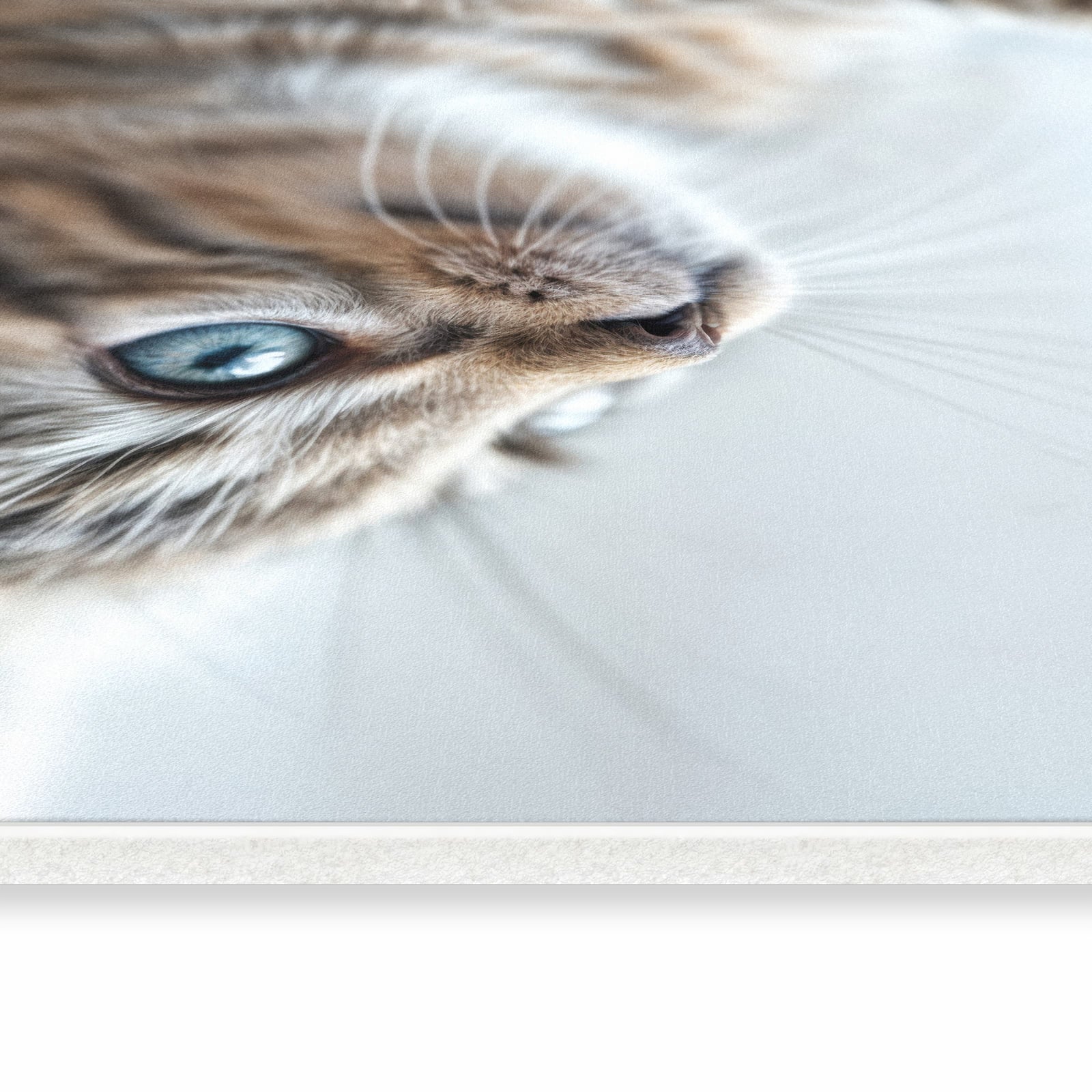 Bodenschonender großer Küchenteppich mit Motiv Kätzchen22 in seitlicher Ansicht