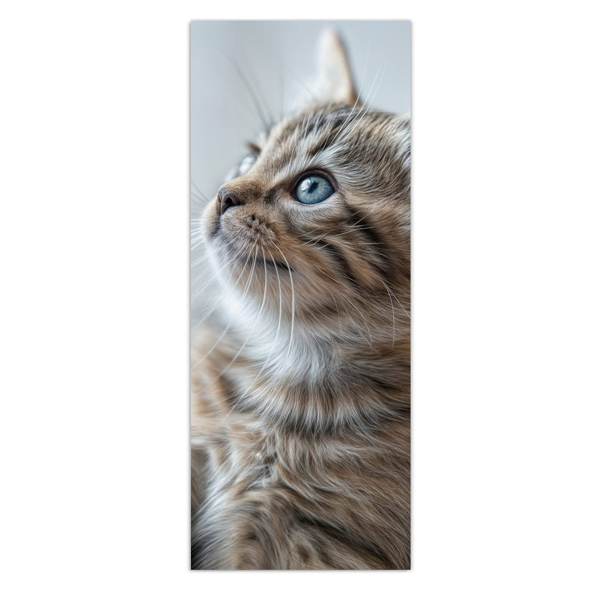 Wandbild - Getigertes Kätzchen - Hochformat – Getigerte Katze mit blaugrauen Augen