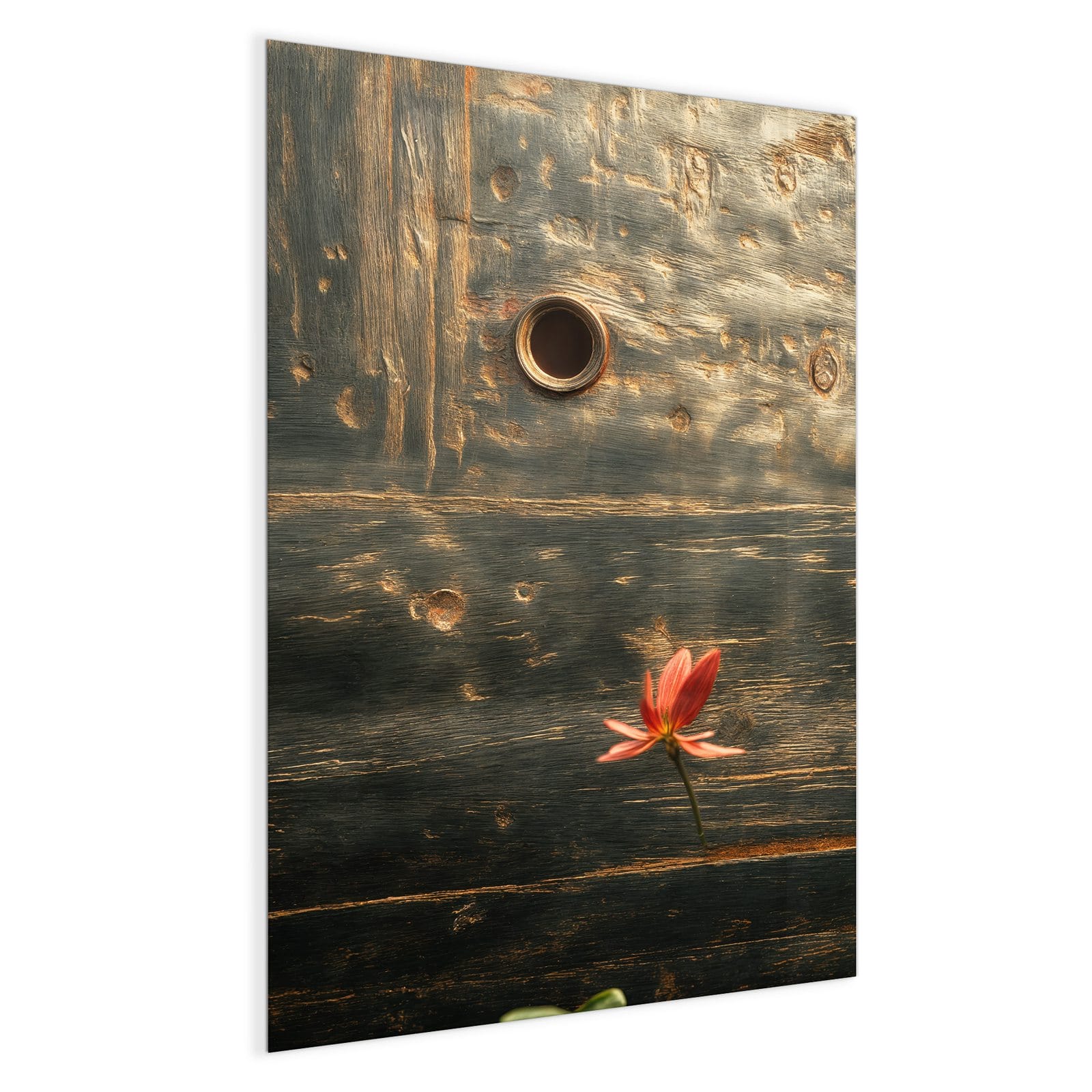 #grösse_60 x 90 cm