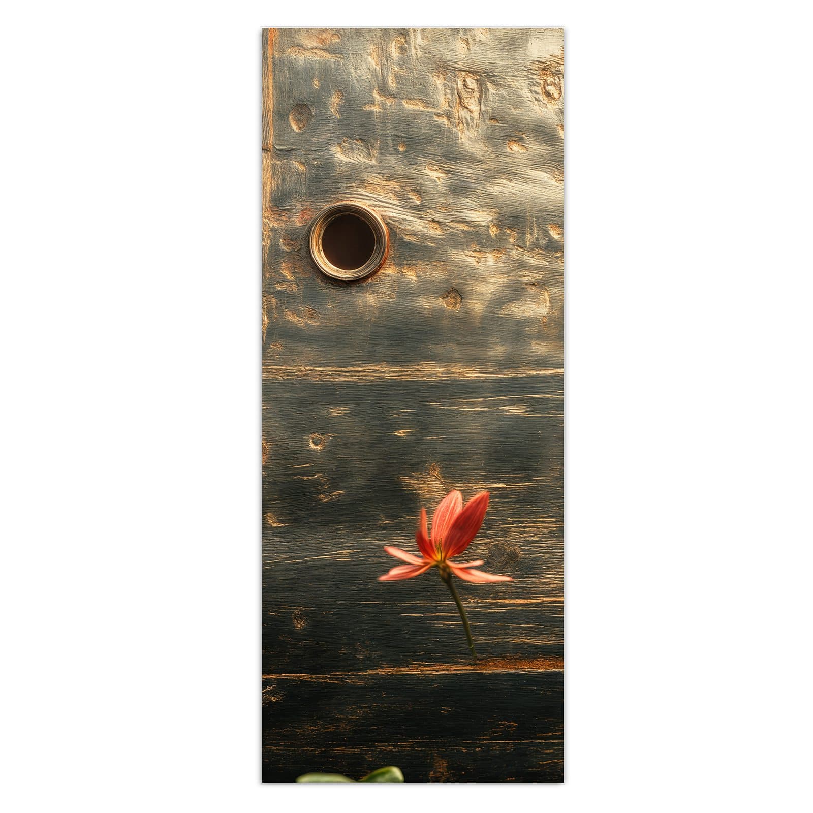 #grösse_50 x 125 cm #grösse_40 x 100 cm #grösse_60 x 150 cm