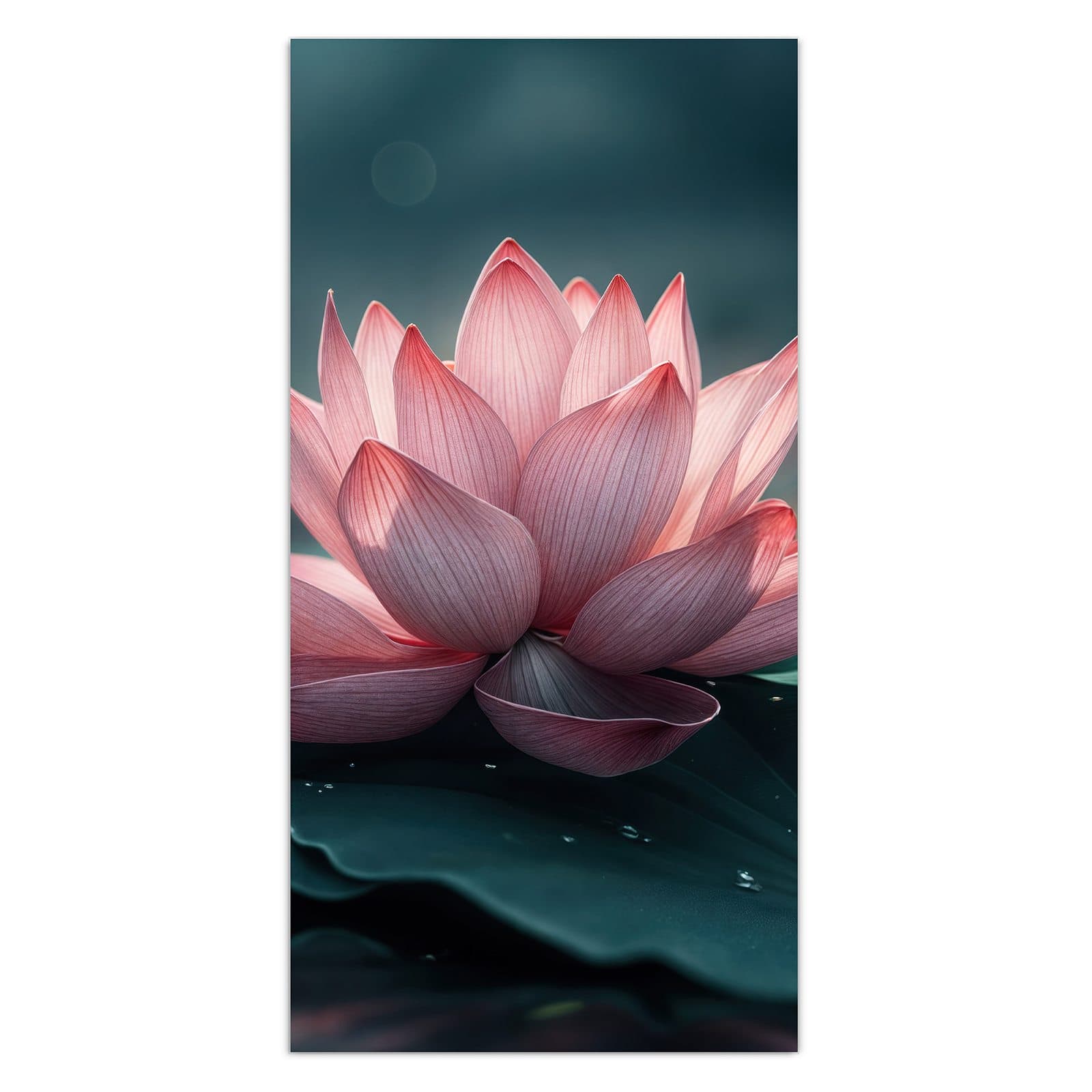 #grösse_30 x 60 cm #grösse_40 x 80 cm #grösse_50 x 100 cm #grösse_55 x 110 cm #grösse_60 x 120 cm