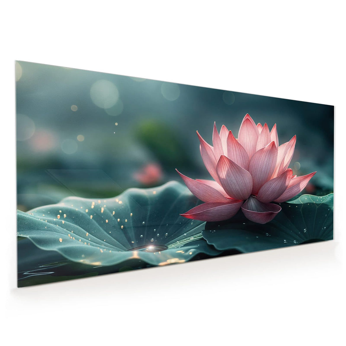Küchenrückwand aus Glas im Hochformat: Rosa Lotusblüte auf einem Seerosenblatt über dunklem Wasser.