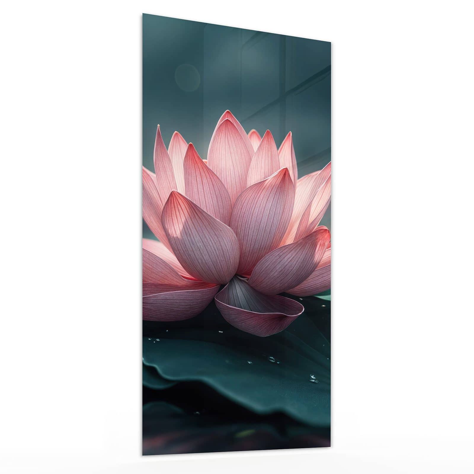 #grösse_30 x 60 cm #grösse_40 x 80 cm #grösse_50 x 100 cm #grösse_55 x 110 cm #grösse_60 x 120 cm