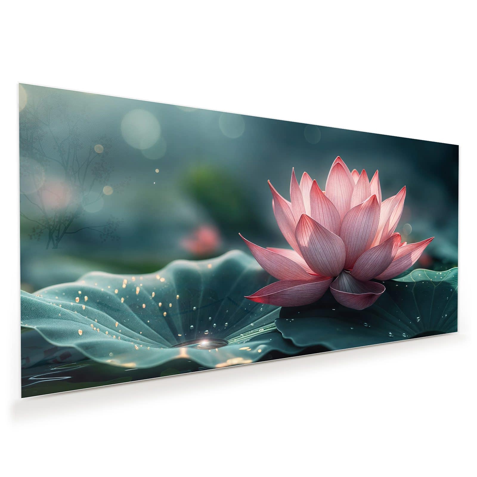 #grösse_60 x 30 cm #grösse_80 x 40 cm #grösse_100 x 50 cm #grösse_110 x 55 cm #grösse_120 x 60 cm