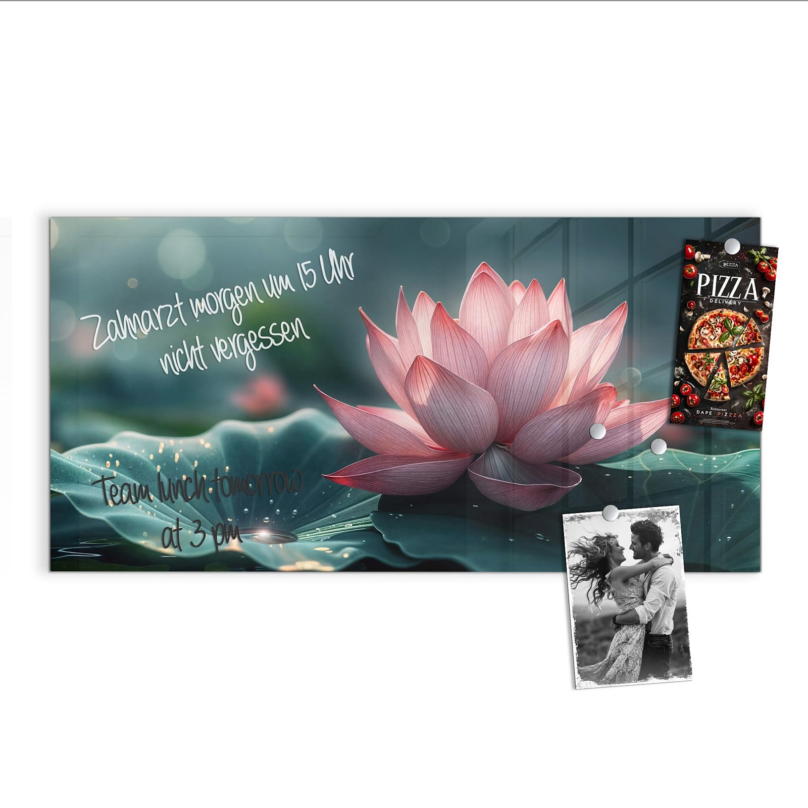 #grösse_100 x 50 cm