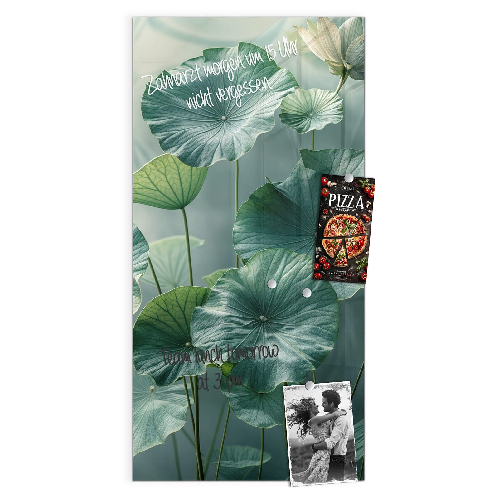 #grösse_50 x 100 cm