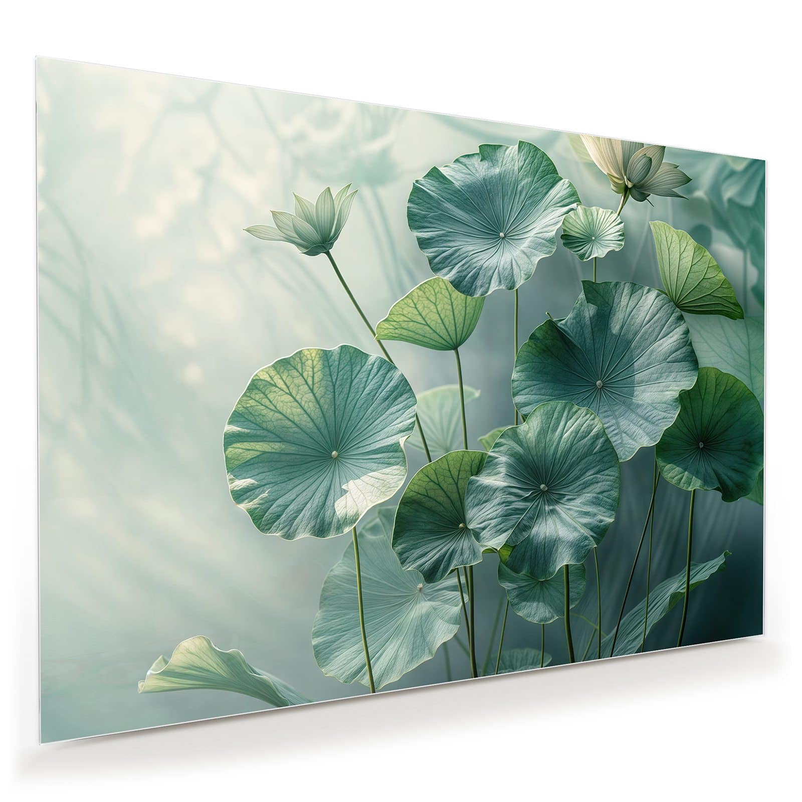 #grösse_100 x 70 cm