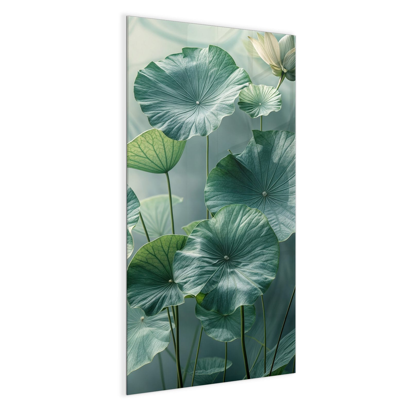 #grösse_50 x 100 cm