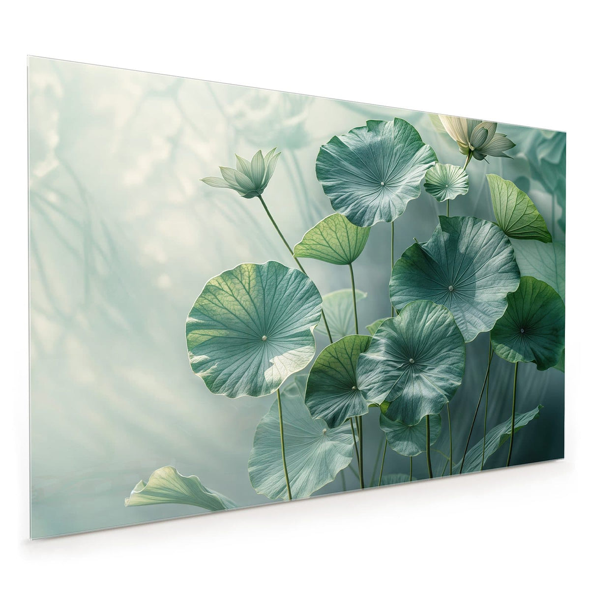 Küchenrückwand aus Glas im Hochformat mit Motiv Lotusblätter in Grün: Große runde Lotusblätter in Blaugrün, dazu eine weiße Lotusblüte