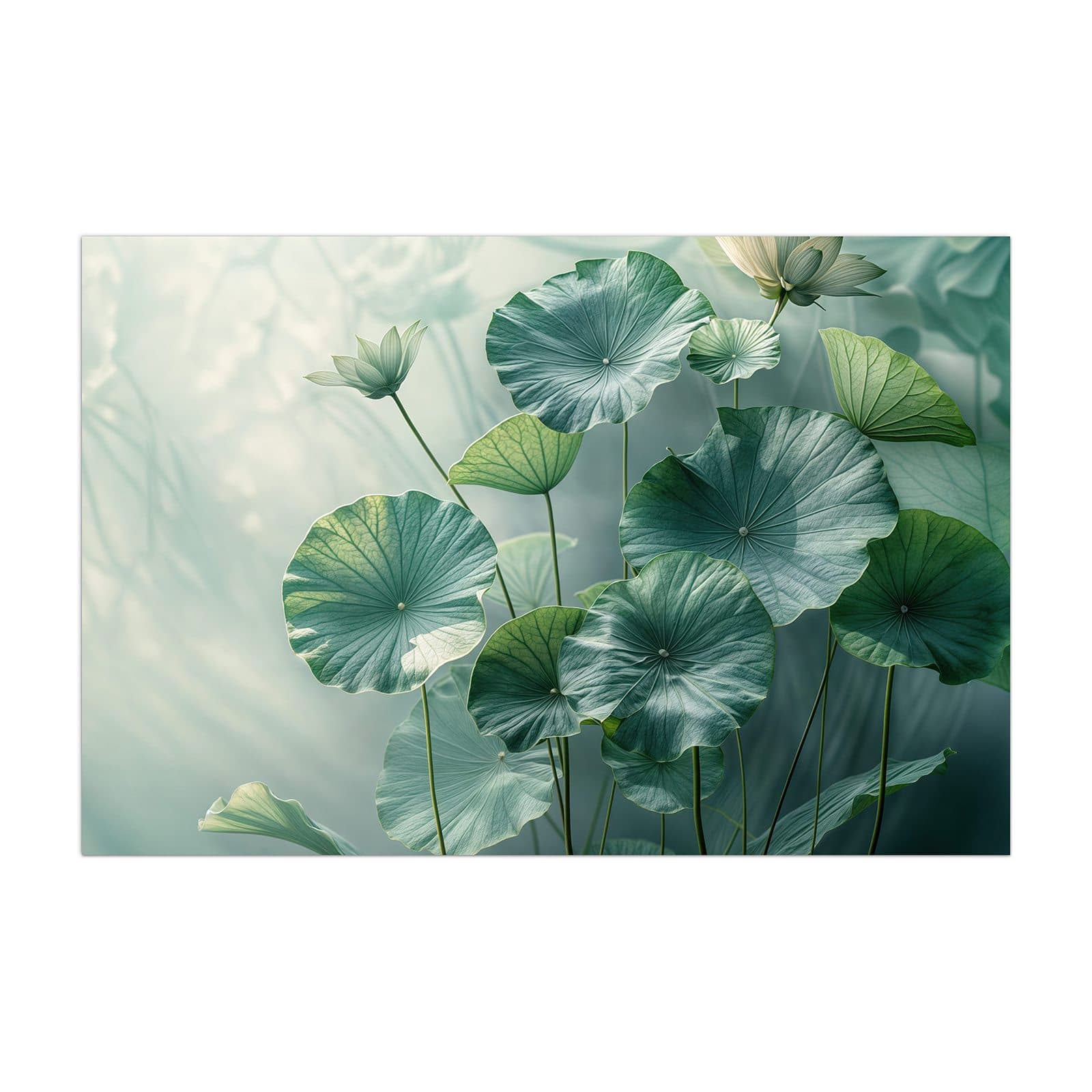 #grösse_40 x 60 cm #grösse_50 x 75 cm #grösse_60 x 90 cm #grösse_80 x 120 cm