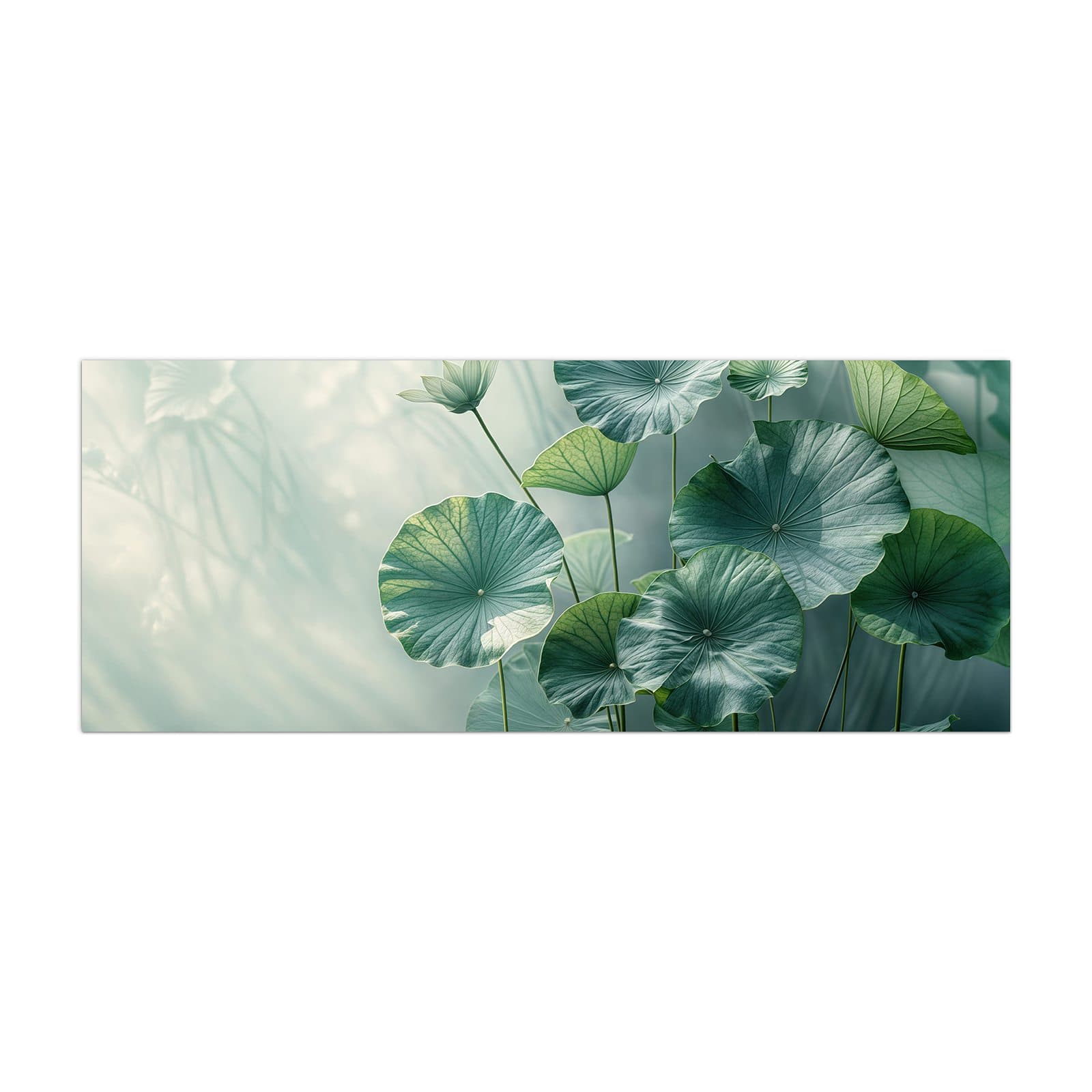 #grösse_40 x 100 cm #grösse_50 x 125 cm #grösse_60 x 150 cm