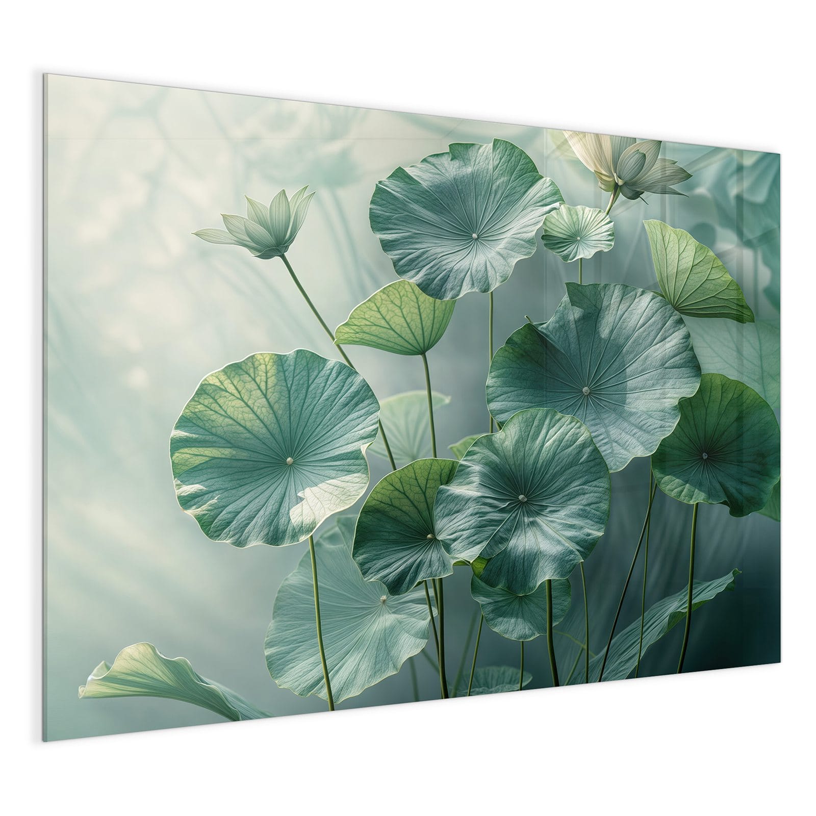 #grösse_120 x 90 cm