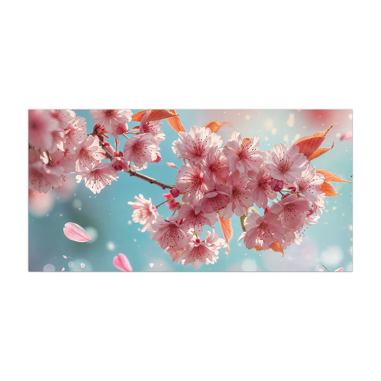 #grösse_40 x 80 cm #grösse_50 x 100 cm #grösse_55 x 110 cm #grösse_60 x 120 cm