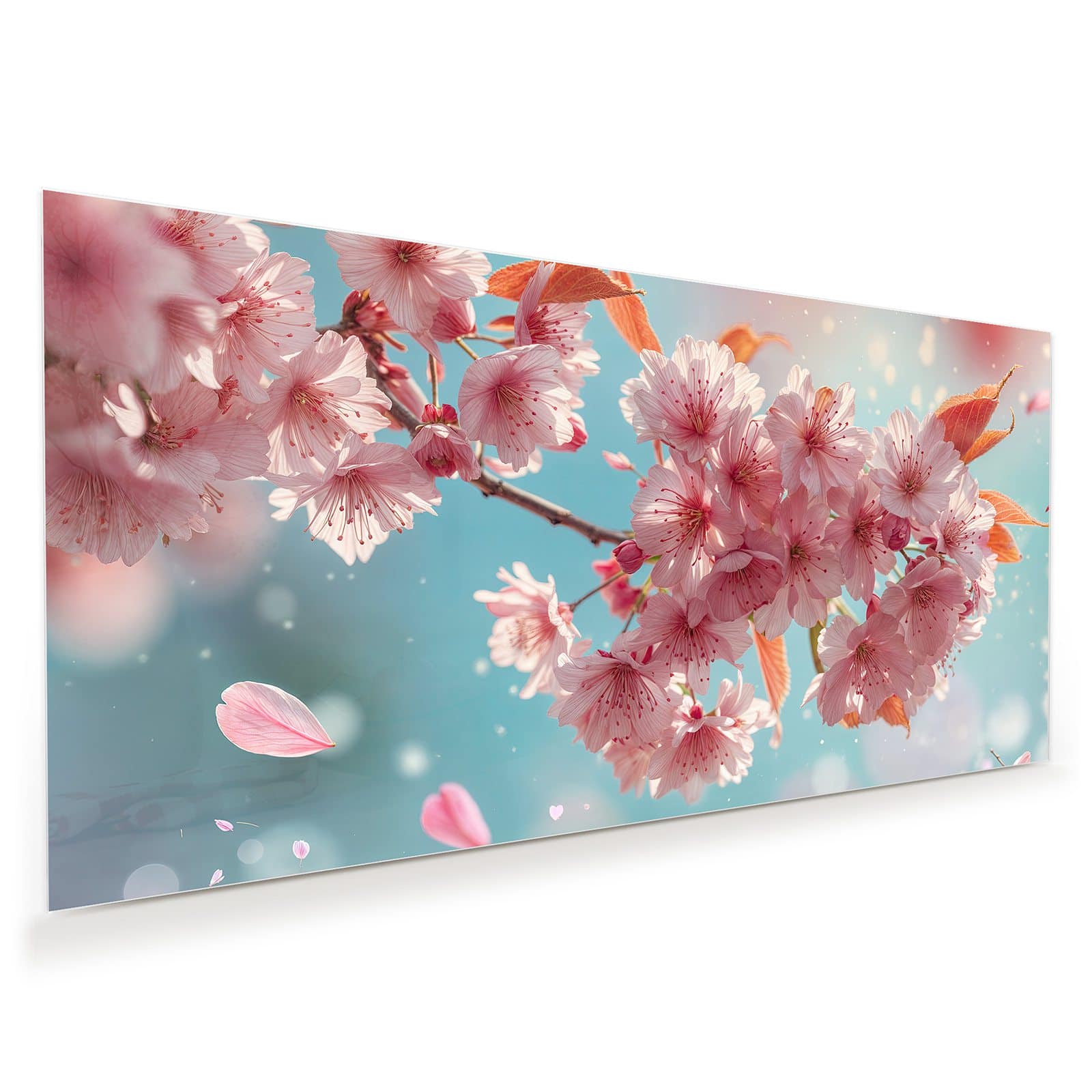 #grösse_60 x 30 cm #grösse_80 x 40 cm #grösse_100 x 50 cm #grösse_110 x 55 cm #grösse_120 x 60 cm