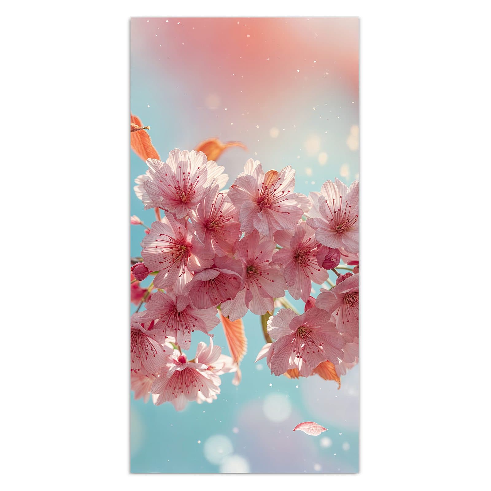 #grösse_30 x 60 cm #grösse_40 x 80 cm #grösse_50 x 100 cm #grösse_55 x 110 cm #grösse_60 x 120 cm