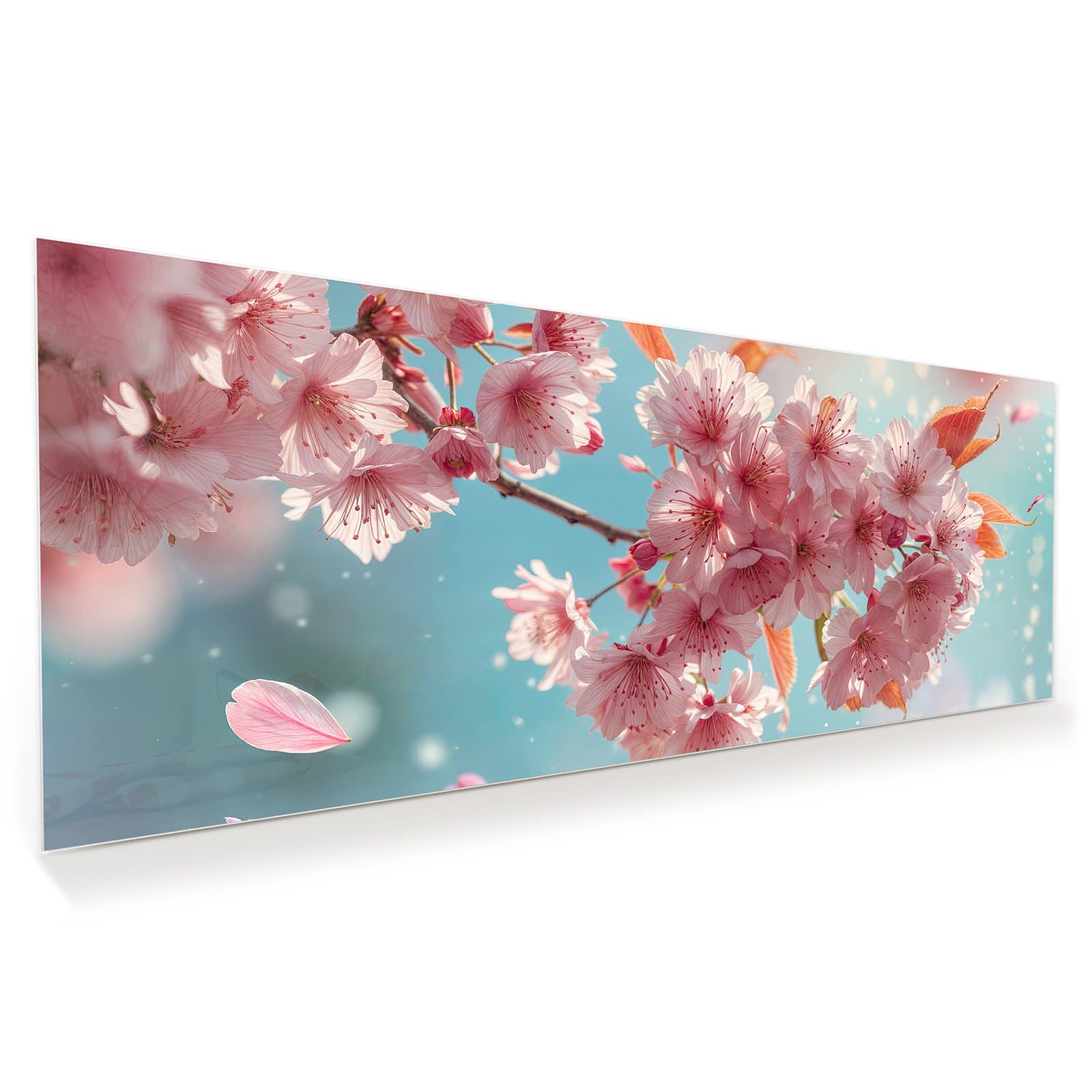 #grösse_100 x 40 cm #grösse_125 x 50 cm #grösse_150 x 60 cm