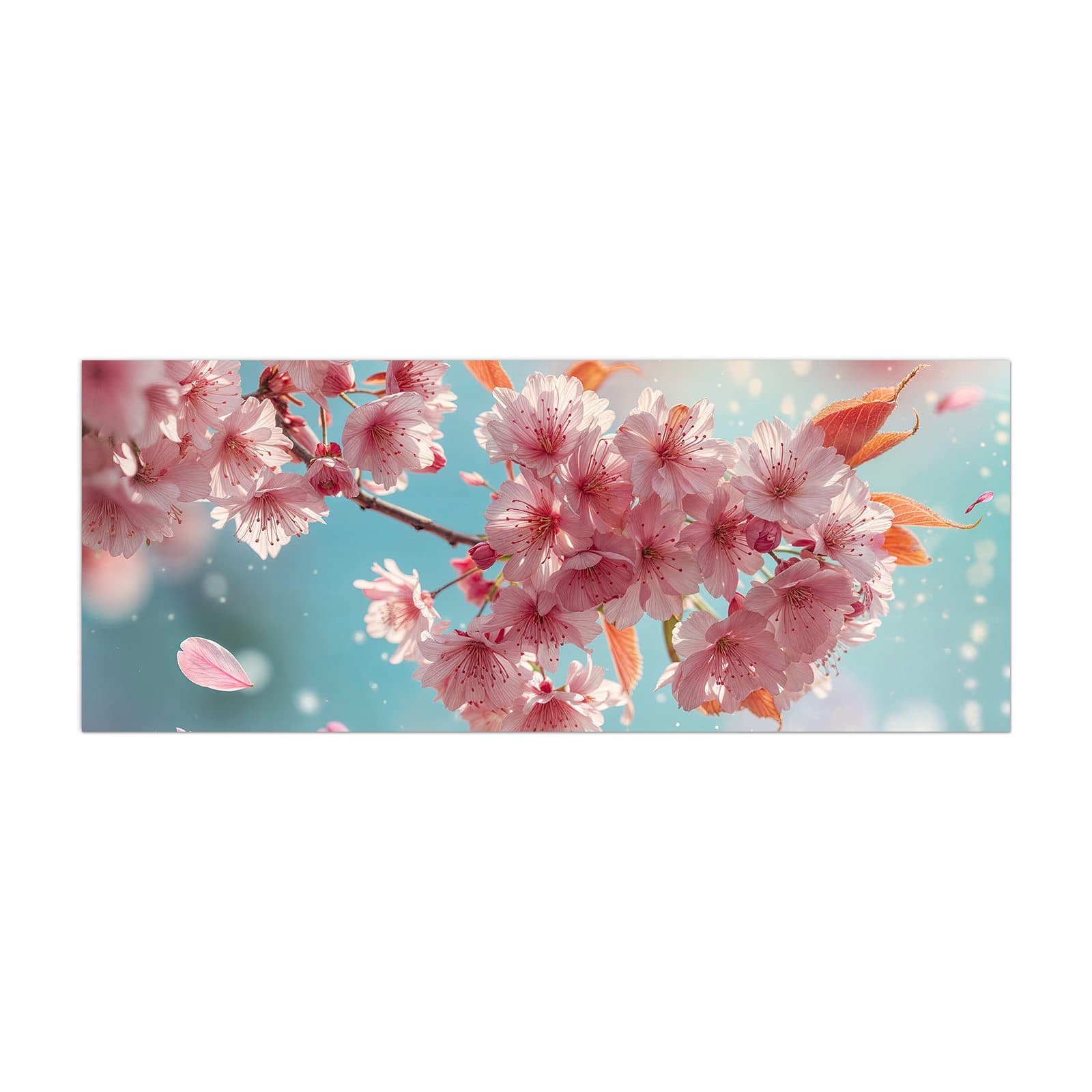 #grösse_40 x 100 cm #grösse_50 x 125 cm #grösse_60 x 150 cm