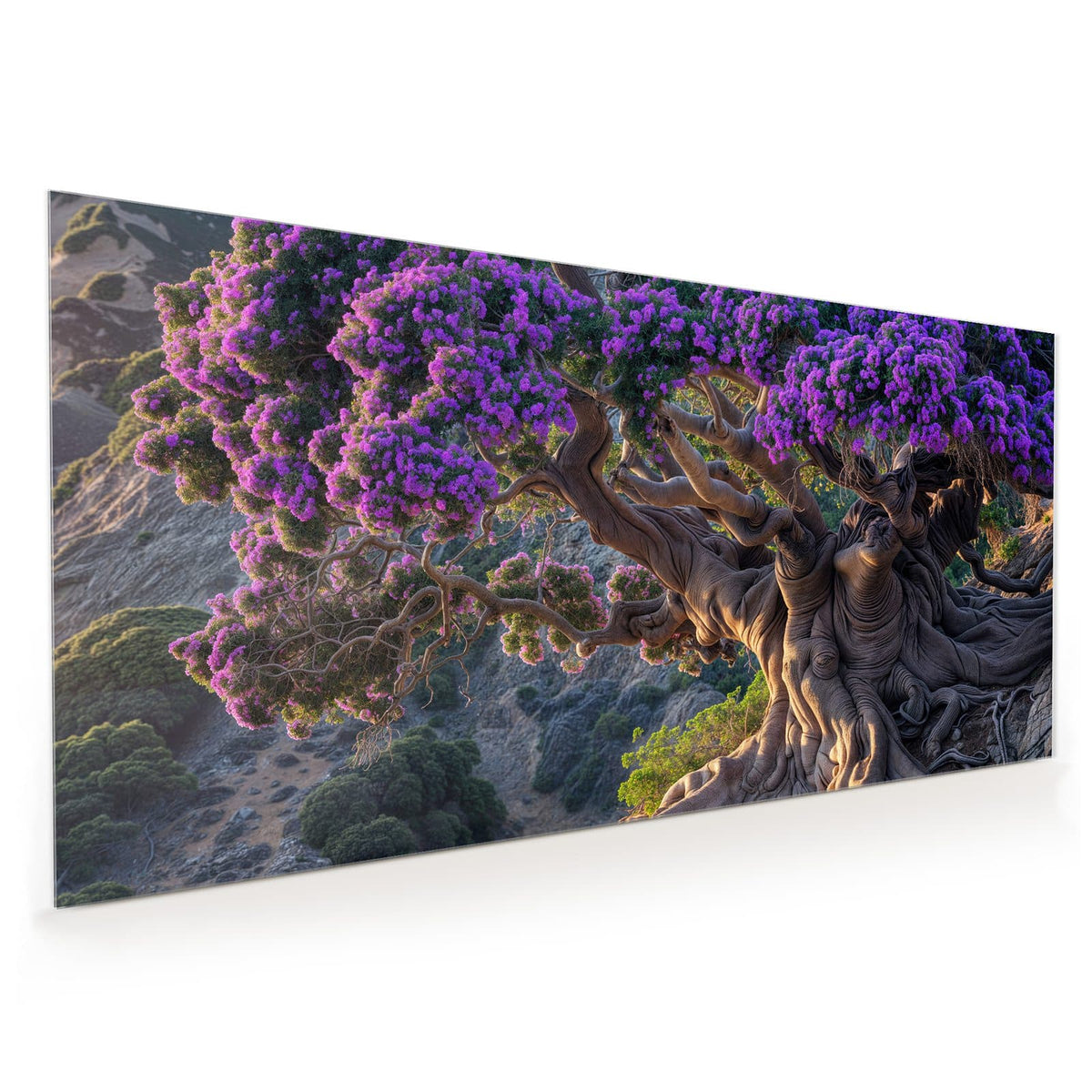 Küchenrückwand aus Glas im Hochformat: Knorriger Baum mit mächtigen Wurzeln und leuchtend violetter Blütenkrone an einem Hang