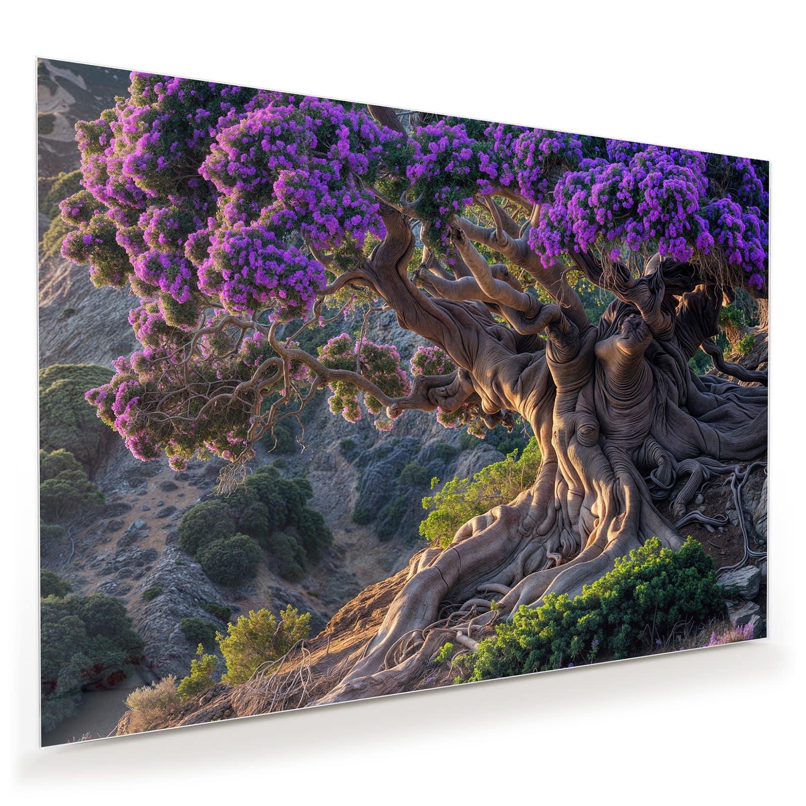 #grösse_100 x 70 cm